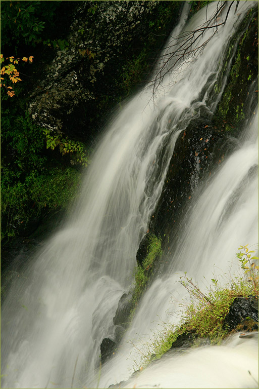  D5A7761 water 1